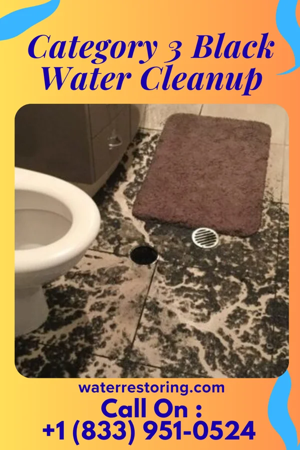 Category 3 Black Water Cleanup in Skyline-Ganipa, NM